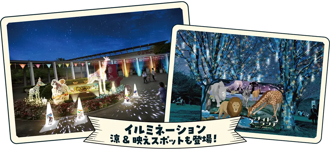 イルミネーション