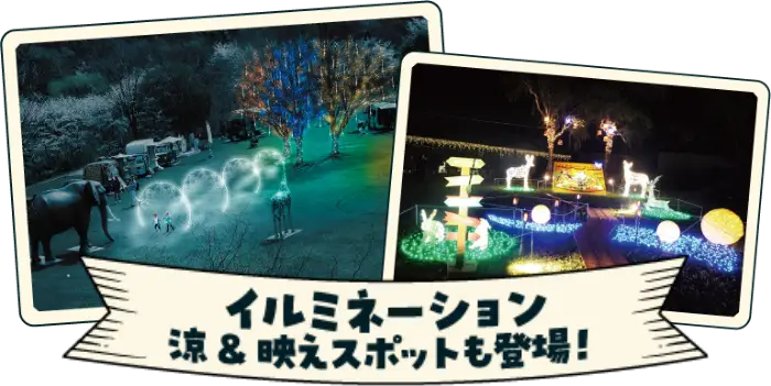 イルミネーション