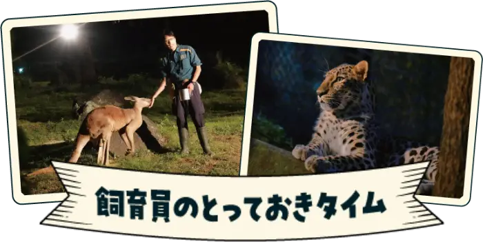 飼育員のとっておきタイム